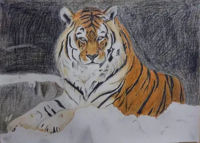 Як намалювати тигра | Уроки малювання | How to draw Tiger - YouTube