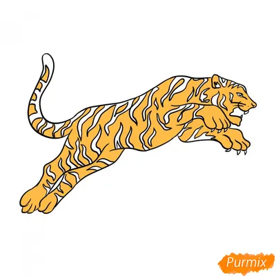 Рисунок тигра, нарисованный белым карандашом | Рисование, Тигр, Карандаш