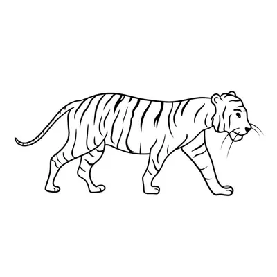 нарисовать тигра поэтапно легко карандашом акварелью шаг за шагом для детей  - Изостудия ВЕСЕЛЫЕ КАРАНДАШИ