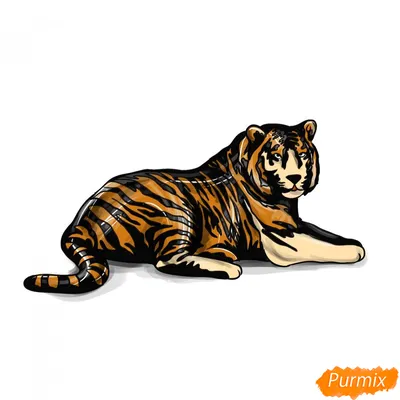 Тигры возглавляют. Иллюстрация рисунка карандашом на серую фон. Подробный  животный рисунок Иллюстрация штока - иллюстрации насчитывающей серо,  наконечников: 211095159