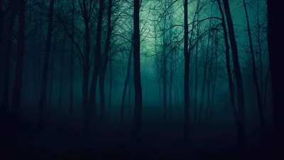 Фон тёмный лес - AVATAN PLUS