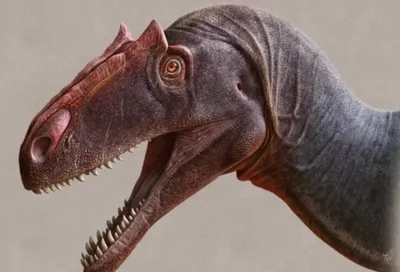 Jurassic World HBK73 Фигурка динозавра Большой Тиранозавр Рекс купить в  Молдове, Кишиневе - Baby-Boom.md