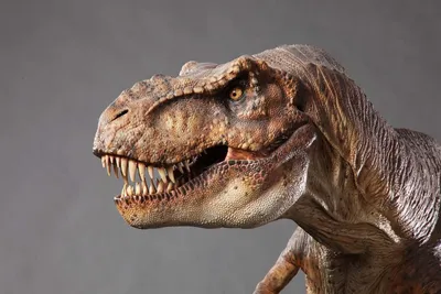 Купить фигурка динозавра Mattel Jurassic World FMM63 Колоссальный тиранозавр  Рекс, цены на Мегамаркет