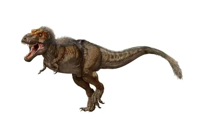 Фигурка Тираннозавра Рекс коричневого цвета Papo 55075 — купить в фирменном  магазине Papo