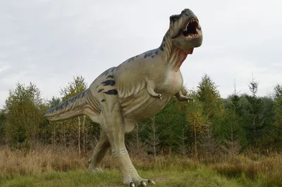 🦕 Jurassic World Evolution: ТИРАНОЗАВР РЕКС - YouTube