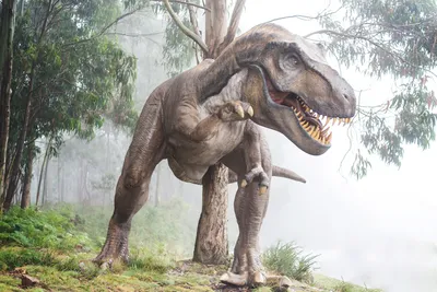 Интерактивный Тиранозавр Рекс/ Jurassic World (ID#1319698053), цена: 2250  ₴, купить на Prom.ua