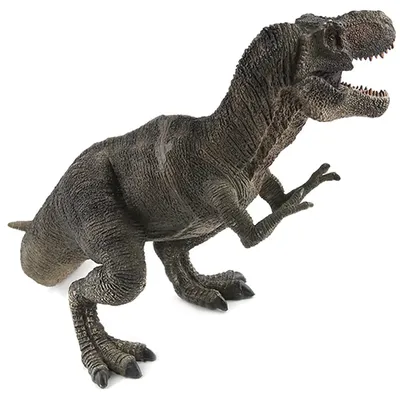 череп тираннозавра рекса динозавра, изолированный на белом фоне Иллюстрация  вектора - иллюстрации насчитывающей мертво, динозавр: 159037382
