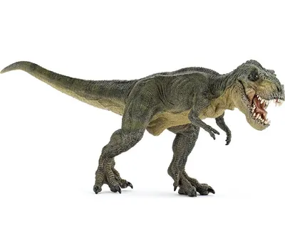 тиранозавр рекс динозавр в джунглях, рептилии и амфибцы Иллюстрация штока -  иллюстрации насчитывающей потухше, изолировано: 273213840