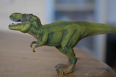 Collecta фигурка Динозавр Тиранозавр Рекс с добычей, Коллекта 88573b -  купить с доставкой по выгодным ценам в интернет-магазине OZON (505410385)