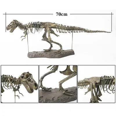 Динозавр Тиранозавр Рекс (Jurassic World Legacy Collection Extreme Chompin'  Tyrannosaurus Rex) купить в Киеве - Книгоград