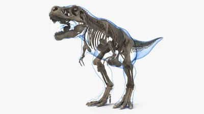Тираннозавр против спинозавра – Спинозавр против тираннозавра, тираннозавр  рекс, тиранозавр, tyrannosaurus rex, spinosaurus, dinozavri, динозавры  онлайн dinosaurs, бесплатно динозавры хищные, фото динозавры юрского  периода, доисторические динозавры в ...