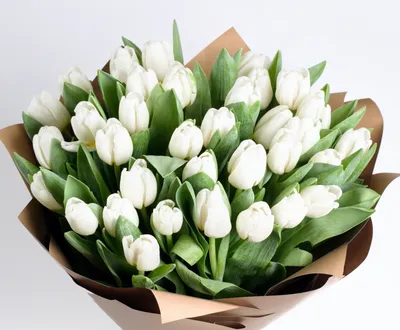 Купить белые тюльпаны с доставкой по Екатеринбургу - интернет-магазин  «Funburg.ru»