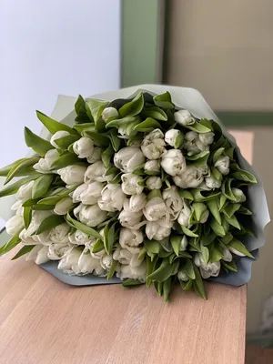 Букет из 45 белых тюльпанов. Купить цветы.