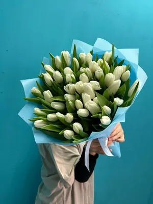 Белые тюльпаны пионовидные и гладкие