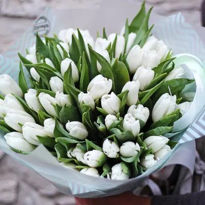 Белые тюльпаны, артикул F1175939 - 9350 рублей, доставка по городу. Flawery  - доставка цветов в Москве