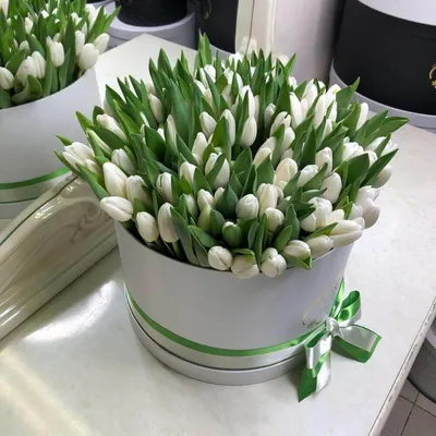 Белые тюльпаны в Мариуполе