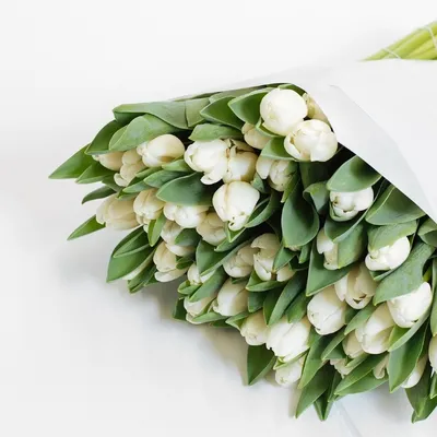 Букет из 101 белых тюльпанов купить с доставкой - TopFlowers