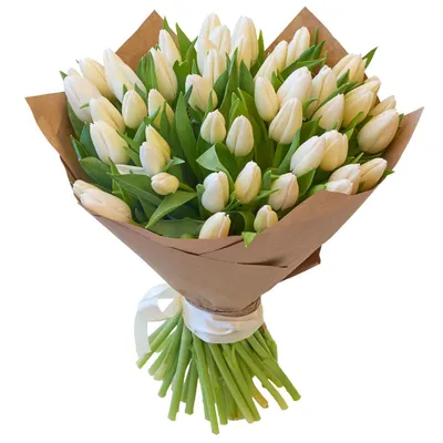 Белые тюльпаны в белом ведре