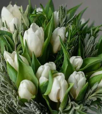 Тюльпаны белые, артикул F1182006 - 3959 рублей, доставка по городу. Flawery  - доставка цветов в Москве