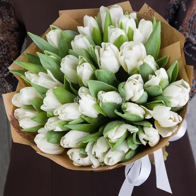 Тюльпаны Белые в крафте 51 шт - SunRose сеть цветочных баз