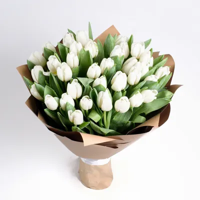 Белые тюльпаны — flordoranzh