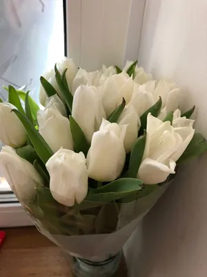 Белые тюльпаны заказать и купить в СПБ круглосуточно