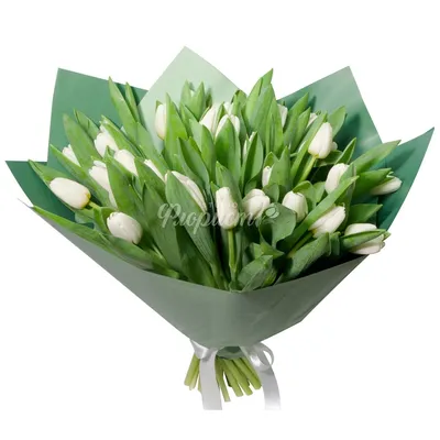 Белые тюльпаны по цене 175 ₽ - купить в RoseMarkt с доставкой по  Санкт-Петербургу