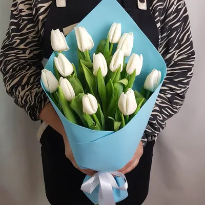 Купить белые тюльпаны Киев №20 поштучно | Доставка от 2-х часов | Заказать  тюльпаны по низкой цене.