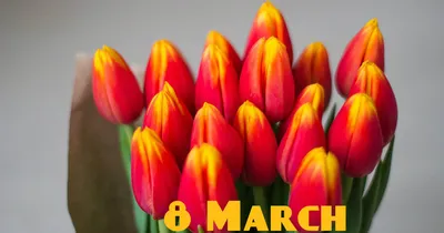 8 марта, букет тюльпанов | Букет, Тюльпаны, Открытки