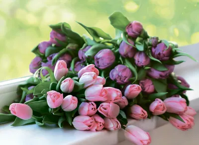 Букет из тюльпанов купить с доставкой по Москве, 8 марта цветы заказ