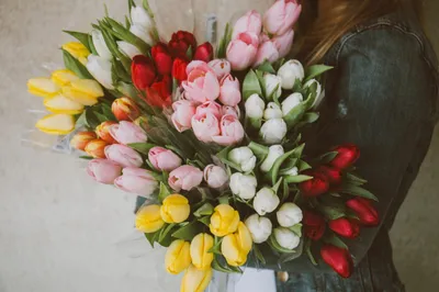 Фото В руках девушки букет тюльпанов