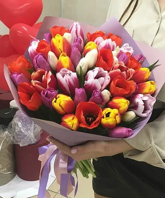Букет тюльпанов в руках ` S женщины Стоковое Изображение - изображение  насчитывающей красно, день: 112475667