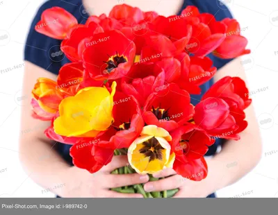 Букет из разноцветных тюльпанов \"Все в твоих руках\" - Cvety24.by