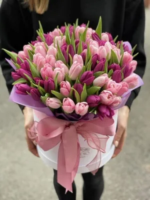 Тюльпаны в руках - красивые фото