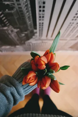 Красные тюльпаны в руках человека Стоковое Фото - изображение насчитывающей  концепция, пук: 149223350