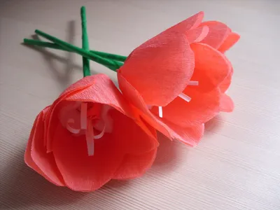 Розовые тюльпаны с цветами в руках на изолированном белом фоне - Ozero -  российский фотосток
