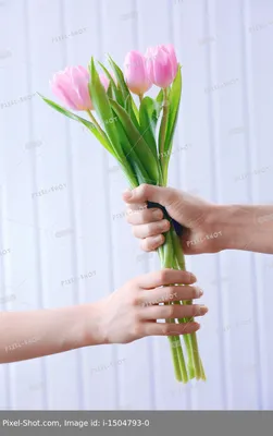 Картинки мужчина Спина Букеты девушка Тюльпаны цветок Руки 1920x1200