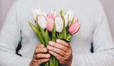 Тюльпаны в руках женщины стоковое фото. изображение насчитывающей взорвать  - 68038998