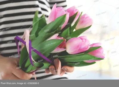 Тюльпаны в руках - красивые фото