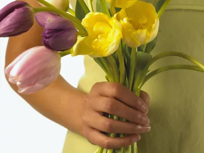 Тюльпаны в руках у девушки (45 фото) »