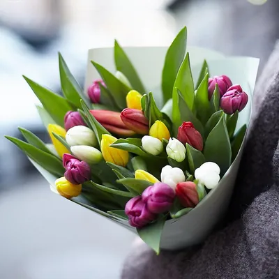 Картинки тюльпаны весна фото