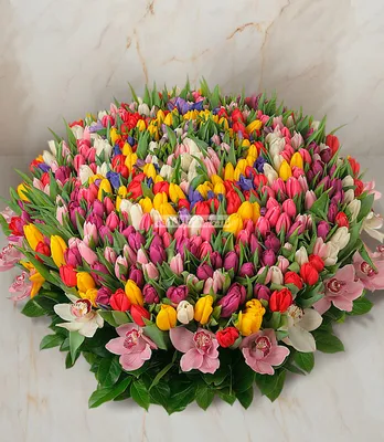 Обои Букет, тюльпаны, весна, дерево 750x1334 iPhone 8/7/6/6S Изображение