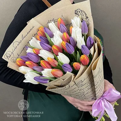 Красочные Тюльпаны Весной Нидерланды — стоковые фотографии и другие картинки  Тюльпан - Тюльпан, Апрель, Без людей - iStock
