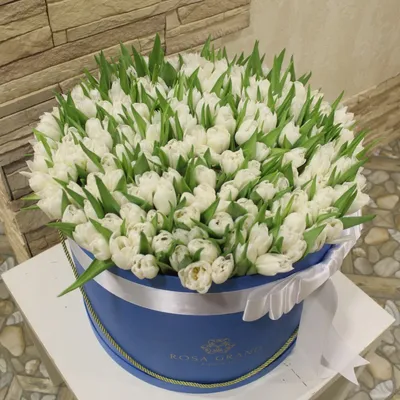 Желтые тюльпаны 11 - Доставкой цветов в Москве! 15569 товаров! Цены от 487  руб. Цветы Тут