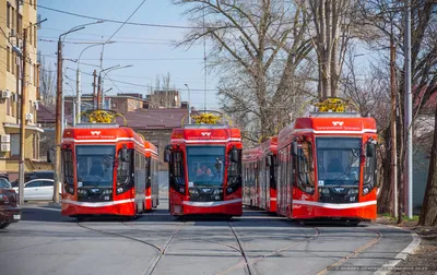 Ко Дню города в Краснодаре вышли на маршрут пять новых «географических»  трамваев :: Krd.ru