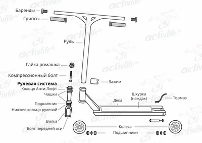 Из чего состоит трюковой самокат, как устроен самокат для трюков
