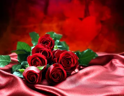 Обои Цветы Розы, обои для рабочего стола, фотографии цветы, розы, шелк,  бутоны, красный Обои для рабочего стола, скачать обои картинки заставки на  рабочий стол.
