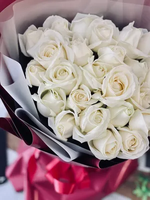 Шикарні білі троянди - 25 фото - UFL