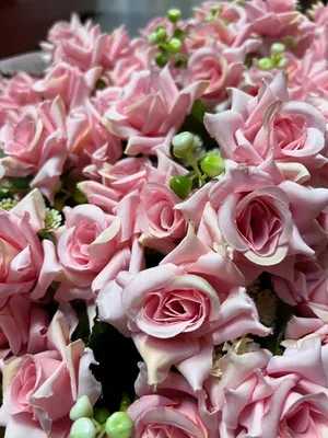 Букет \"Троянди рожеві\" (ID#1876628233), цена: 70 ₴, купить на Prom.ua