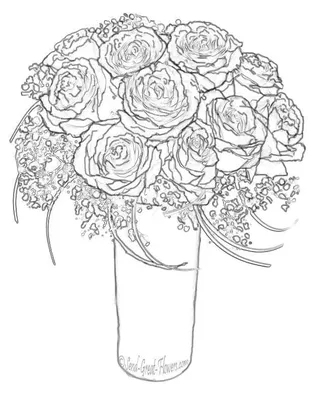 Обои троянди, розы, минут, раздел Цветы, размер 2880x1800 Wide Retina -  скачать бесплатно картинку на рабочий стол и телефон